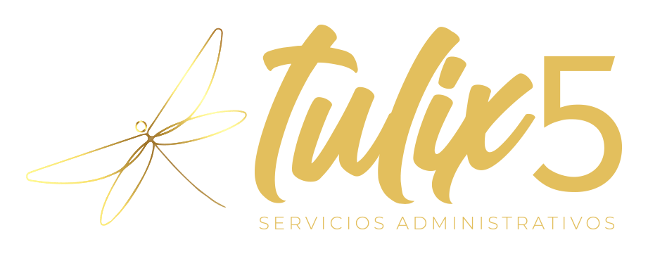 Logotipo-Tulix5-Empresa de administración de fraccionamientos y condominios-min